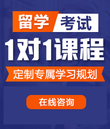 大鸡巴肏大骚屄视频留学考试一对一精品课